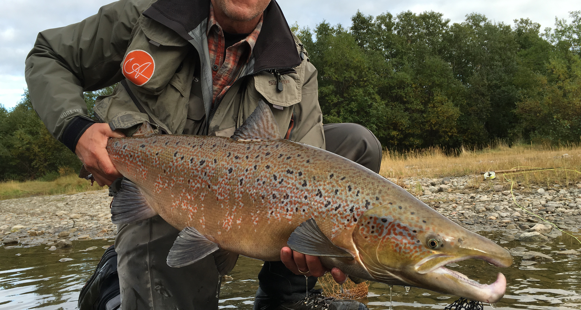 Screenshot 2016-09-25 17.46.01.png