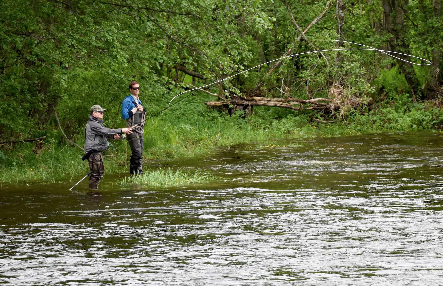 Screenshot 2017-06-21 16.29.38